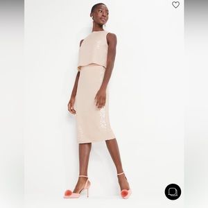 Kate Spade Rosy Beige Sequin Skirt Size 12 NWT